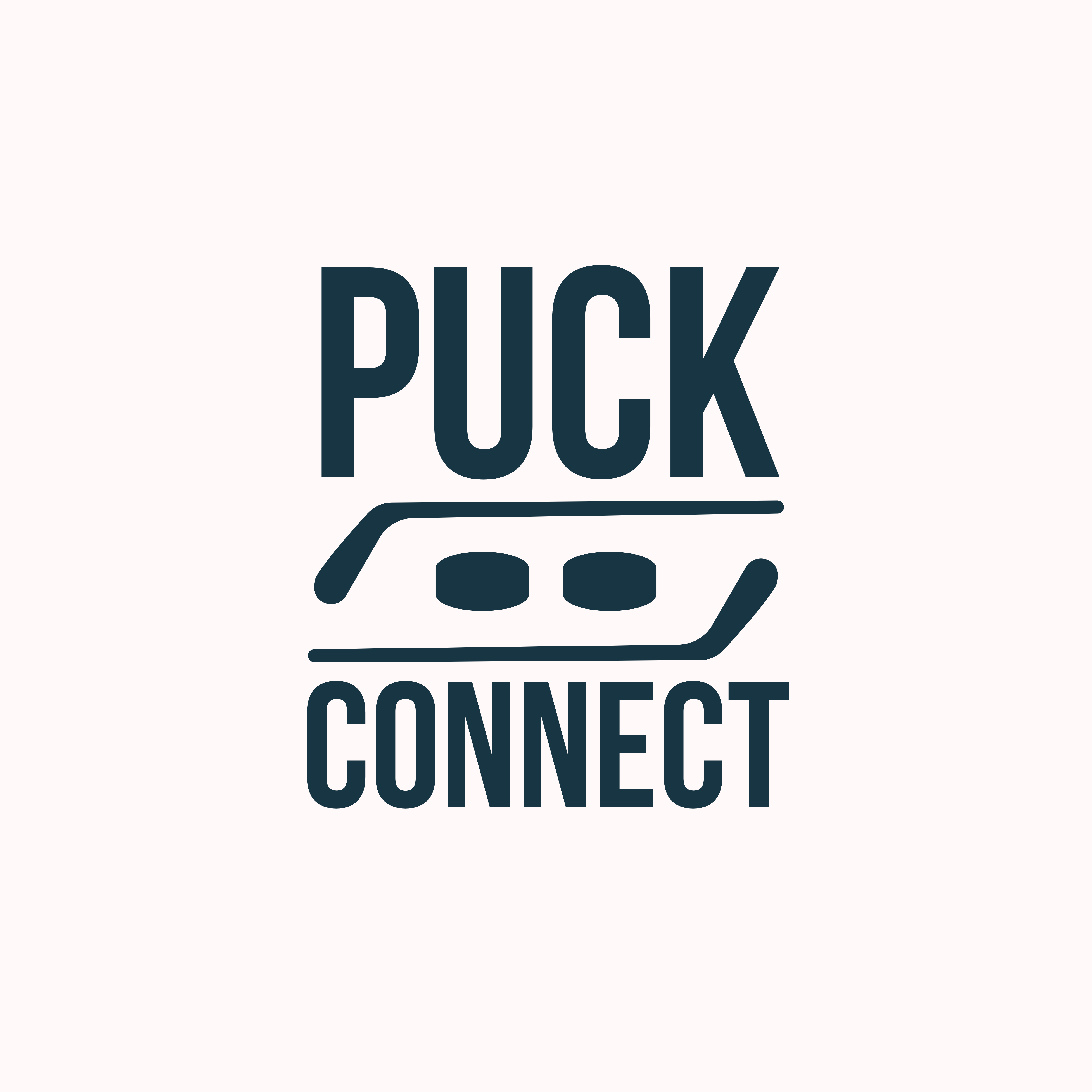 Puck Connect Logo